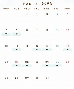 3月の予定🌸