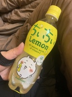 【出現中🤗✨】ちぃちぃれもん🍋