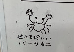 スーパーアカリブラザーズ