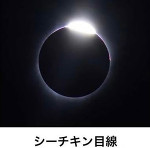 夢見る情緒じゃいられない③