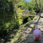 🦌 【鎌倉市】円覚寺 明月院