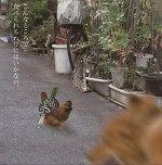 無言の蓄積③
