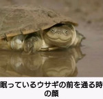 スタバ三国志④
