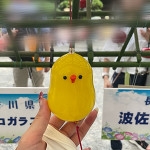 🦌 【川崎大師】風鈴市