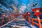 お気に入り(*´◒`*)