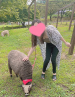 最近はまってるもの❣️