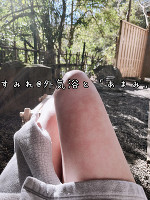 3月の予定をお知らせします🌸