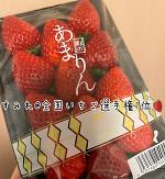 春の陽気に誘われて