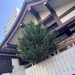 ❀出雲大社東京分祀❀