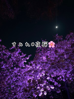 最近のこと