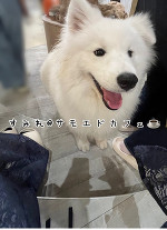 最近のこと