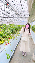 おはよう＆🈳枠🌸🐰🌟💓
