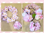 今日の有難う🌸🐰🌟💓