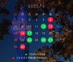 6月の予定🗓🪻