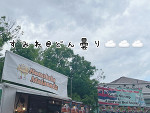 始めました🫧🫧