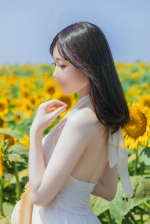 ひまわり写真集📷