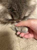 お休みなさい💤また明日❣️