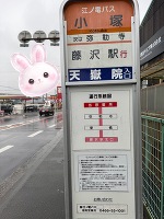 多美（たみ）帰還‼️