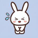 多美（たみ）の🐰耳？！(^◇^;)🌟川崎ラタンゴ💃