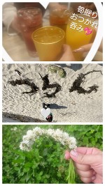 たけのこにょっき🍌