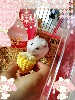 出勤しました💪(´・_・`💪)